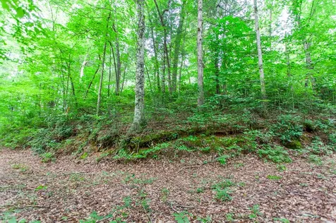 Lot 8-10 Castlewood Robbinsville NC 28771