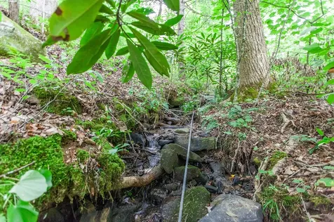 Lot 8-10 Castlewood Robbinsville NC 28771