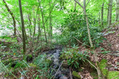 Lot 8-10 Castlewood Robbinsville NC 28771
