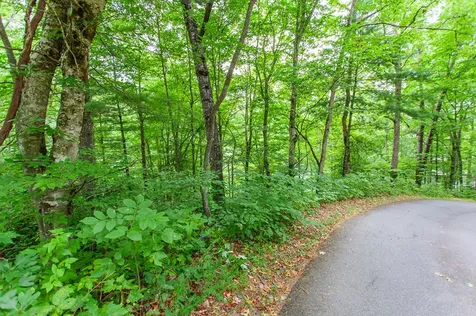 Lot 8-10 Castlewood Robbinsville NC 28771