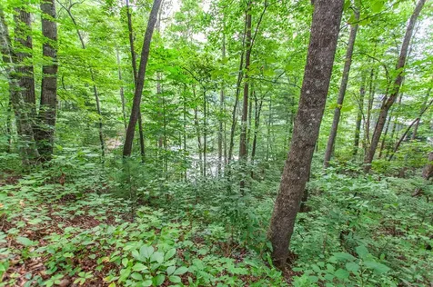 Lot 8-10 Castlewood Robbinsville NC 28771