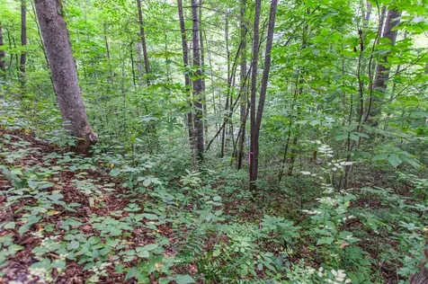 Lot 8-10 Castlewood Robbinsville NC 28771