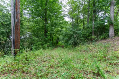 Lot 8-10 Castlewood Robbinsville NC 28771