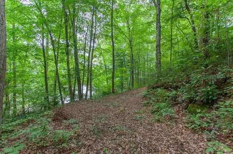 Lot 8-10 Castlewood Robbinsville NC 28771
