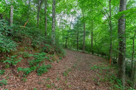 Lot 8-10 Castlewood Robbinsville NC 28771