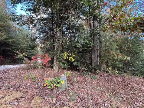 72 Victory Lane Murphy NC 28906