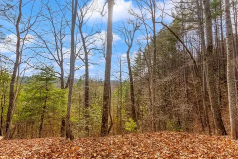3.45 Ac Guy Eller Road Murphy NC 28906