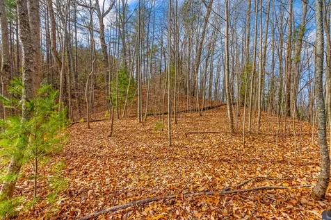 3.45 Ac Guy Eller Road Murphy NC 28906