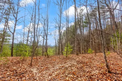 3.45 Ac Guy Eller Road Murphy NC 28906