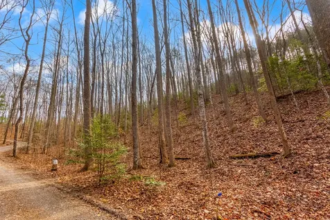 3.45 Ac Guy Eller Road Murphy NC 28906