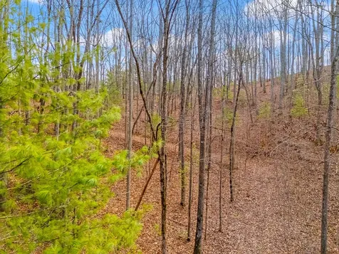 3.45 Ac Guy Eller Road Murphy NC 28906