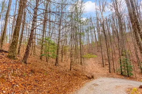 3.45 Ac Guy Eller Road Murphy NC 28906