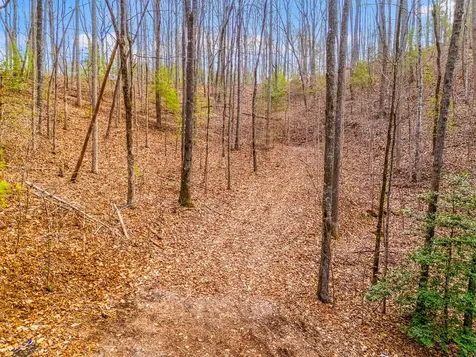3.45 Ac Guy Eller Road Murphy NC 28906