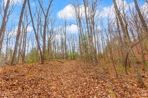 3.45 Ac Guy Eller Road Murphy NC 28906