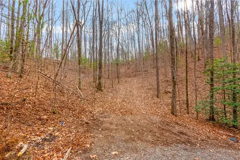 3.45 Ac Guy Eller Road Murphy NC 28906