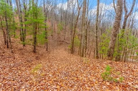 3.45 Ac Guy Eller Road Murphy NC 28906