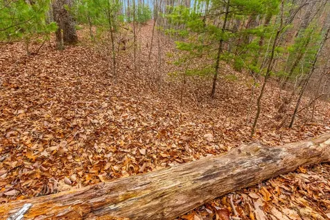 3.45 Ac Guy Eller Road Murphy NC 28906