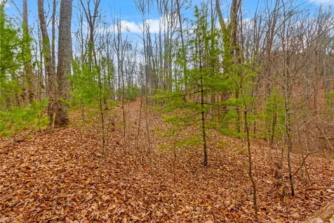3.45 Ac Guy Eller Road Murphy NC 28906