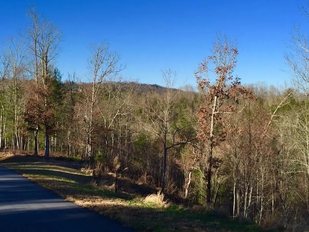 Lot #94 River Mountain Road Murphy NC 28906
