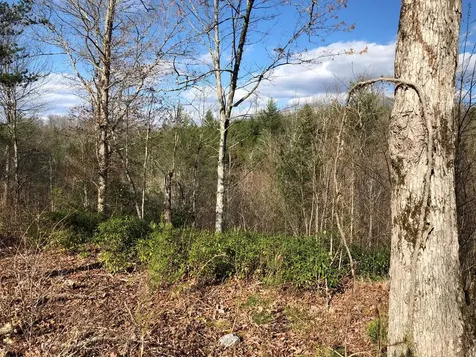 Lot #94 River Mountain Road Murphy NC 28906