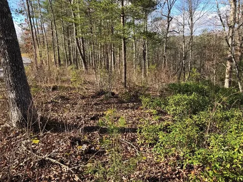 Lot #94 River Mountain Road Murphy NC 28906