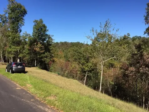 Lot #94 River Mountain Road Murphy NC 28906
