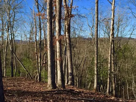 Lot #94 River Mountain Road Murphy NC 28906