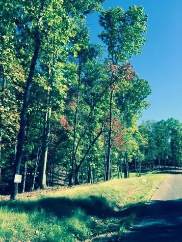 Lot #94 River Mountain Road Murphy NC 28906