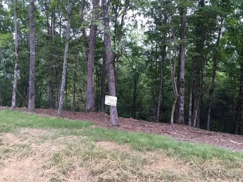 Lot #94 River Mountain Road Murphy NC 28906