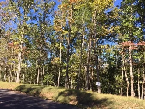 Lot #94 River Mountain Road Murphy NC 28906