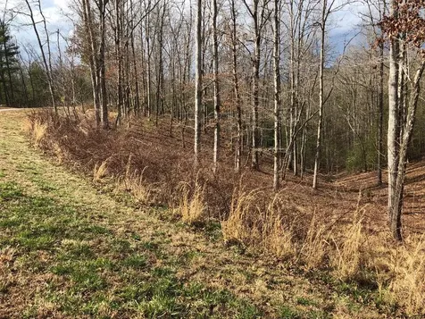 Lot #94 River Mountain Road Murphy NC 28906