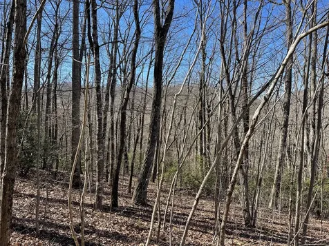 Lot #53M Ridges Hayesville NC 28904