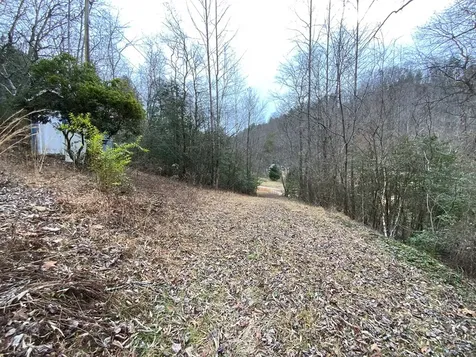 1600 Long Branch Road Marble NC 28905