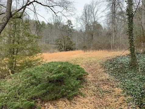 1600 Long Branch Road Marble NC 28905