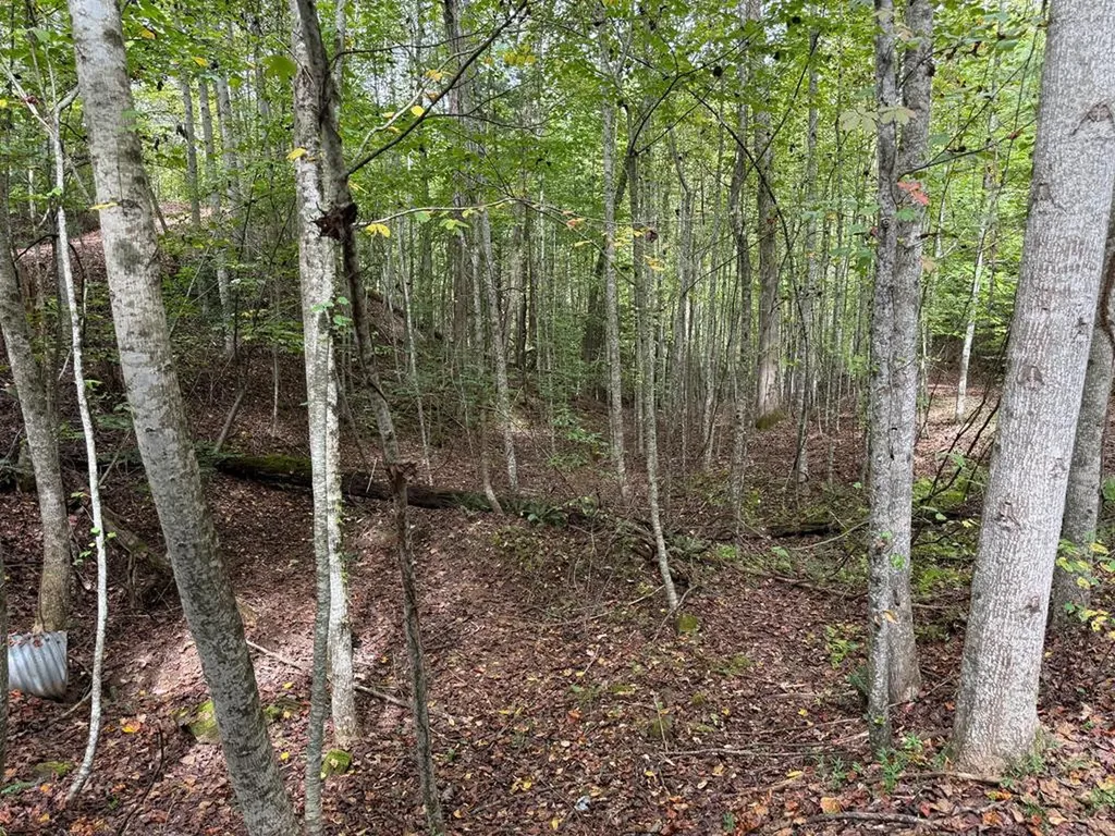 0 Reserve Estates Murphy NC 28906