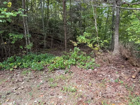 0 Reserve Estates Murphy NC 28906