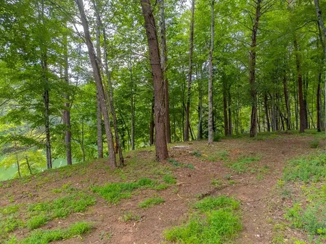 270 Deyton Camp Road Robbinsville NC 28771