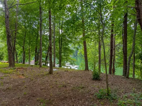 270 Deyton Camp Road Robbinsville NC 28771