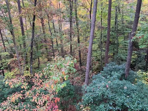 55 Laurel Spring Drive Murphy NC 28906