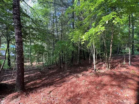 99 Conestoga Trail Murphy NC 28906