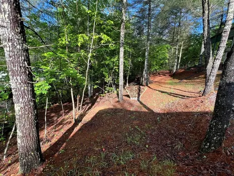 99 Conestoga Trail Murphy NC 28906