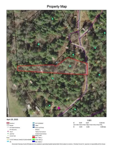99 Conestoga Trail Murphy NC 28906