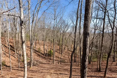 87 Tuscarora Trail Murphy NC 28906