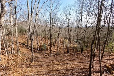 87 Tuscarora Trail Murphy NC 28906