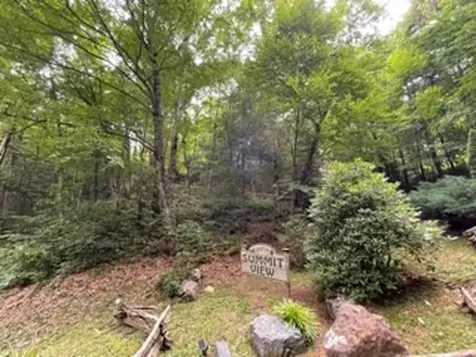 Lot 1 Summit View Drive Topton NC 28781
