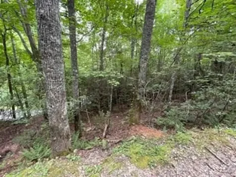 Lot 1 Summit View Drive Topton NC 28781