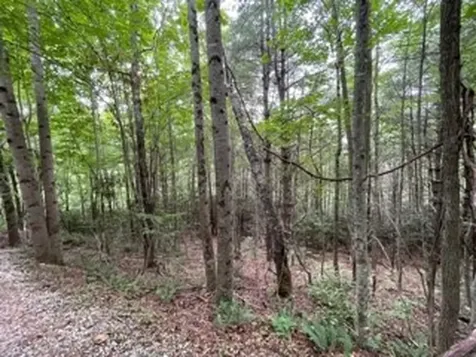 Lot 1 Summit View Drive Topton NC 28781