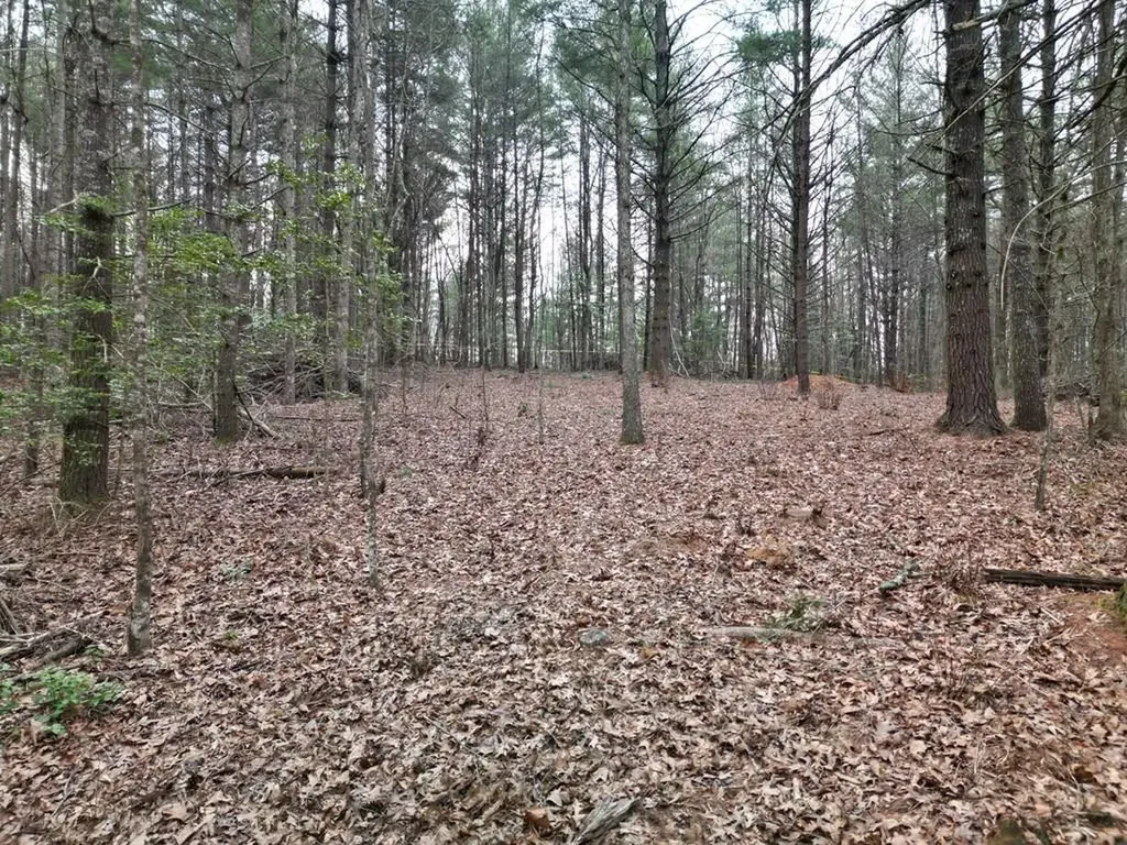 Lot #29 Liberty Road Murphy NC 28906