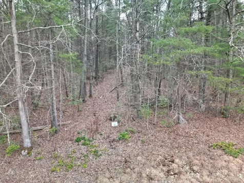 Lot #29 Liberty Road Murphy NC 28906