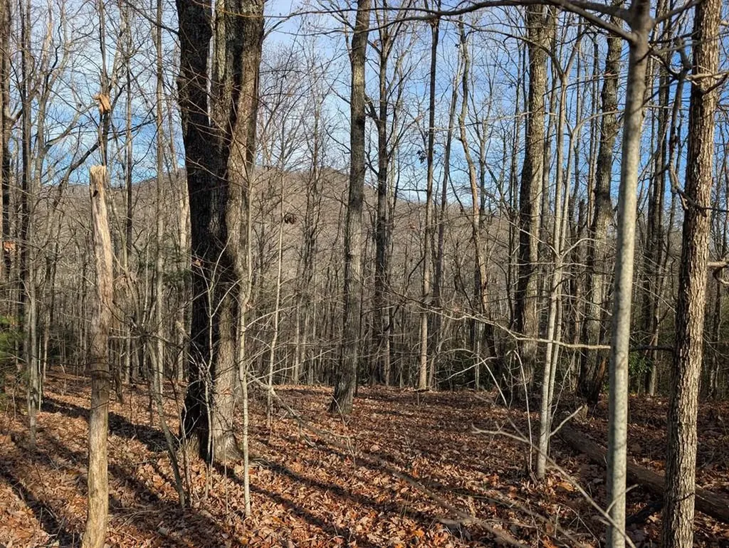 Lot 20 Wilderness Creek Way Murphy NC 28906